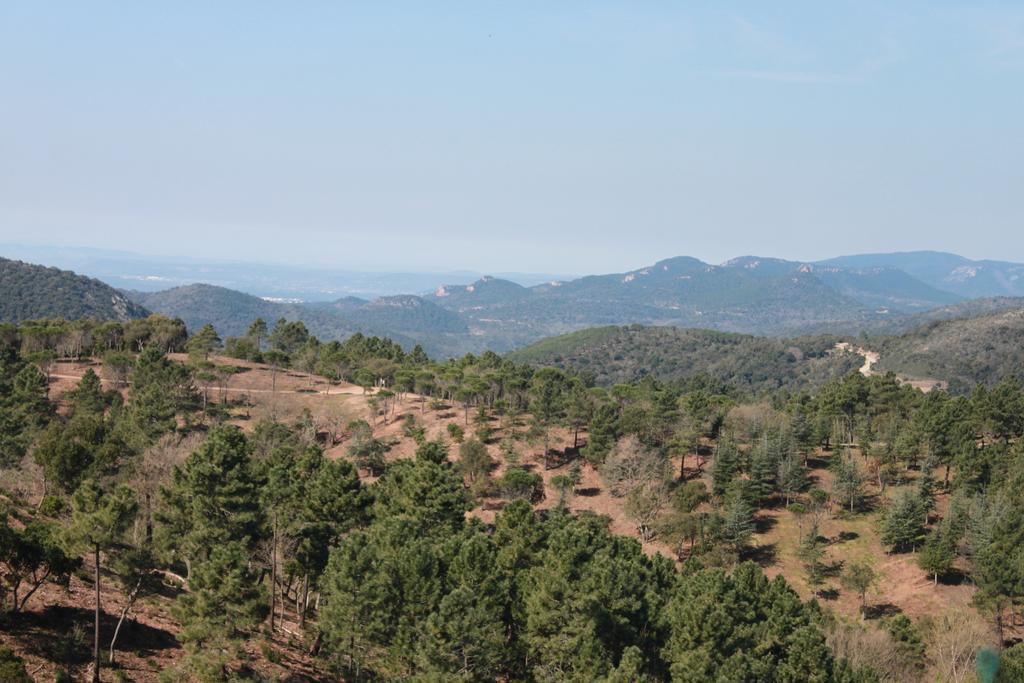 L'Estirado Des Adrets Hotel Les Adrets-de-l'Esterel Ngoại thất bức ảnh
